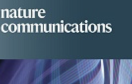 Publication